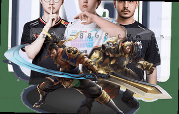 内容精选集